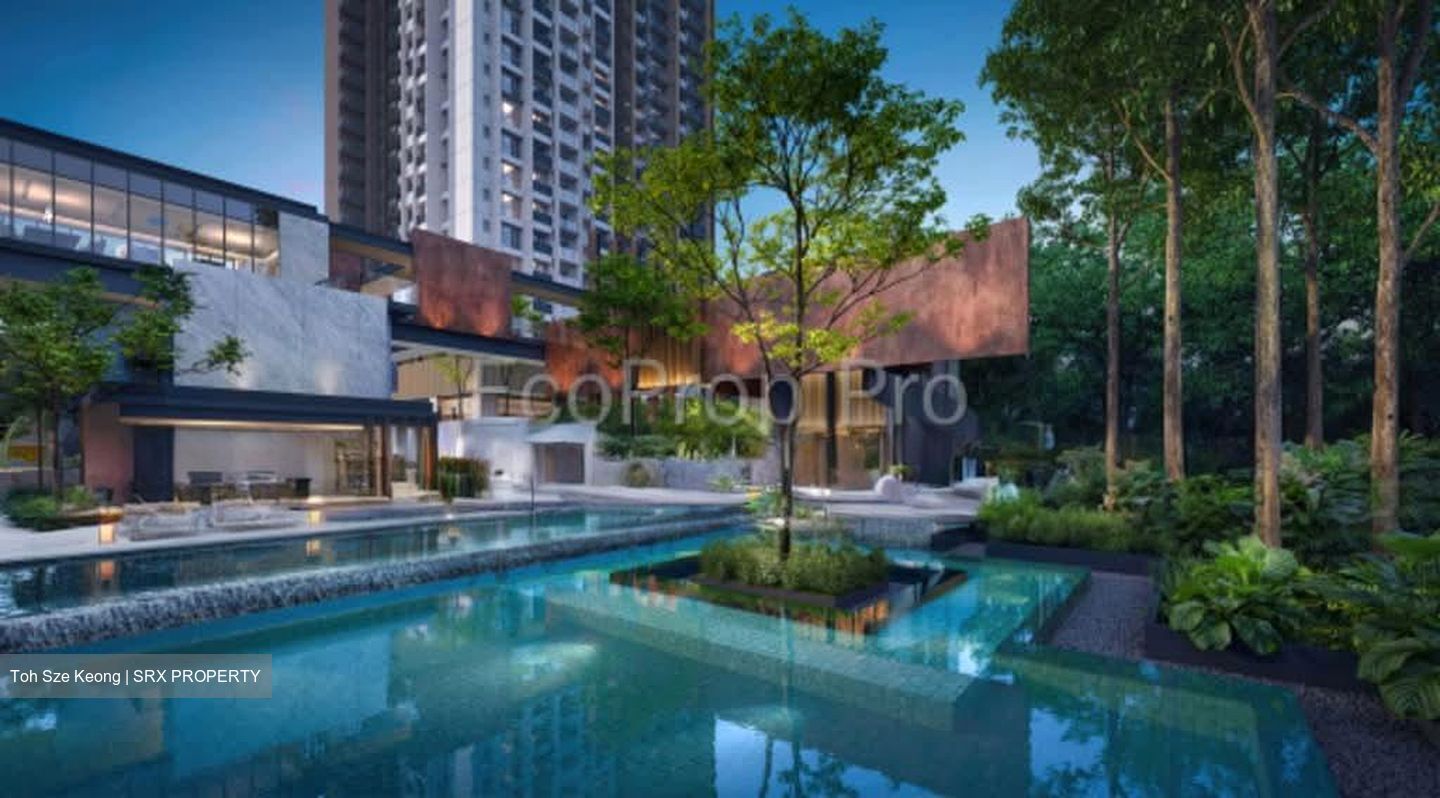 Kim Seng Promenade (D9), Condominium #548489701